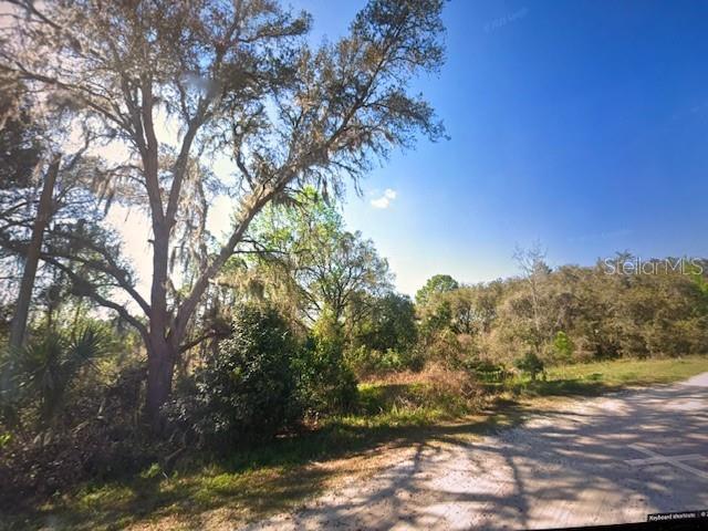 FOREST PARK - Land
