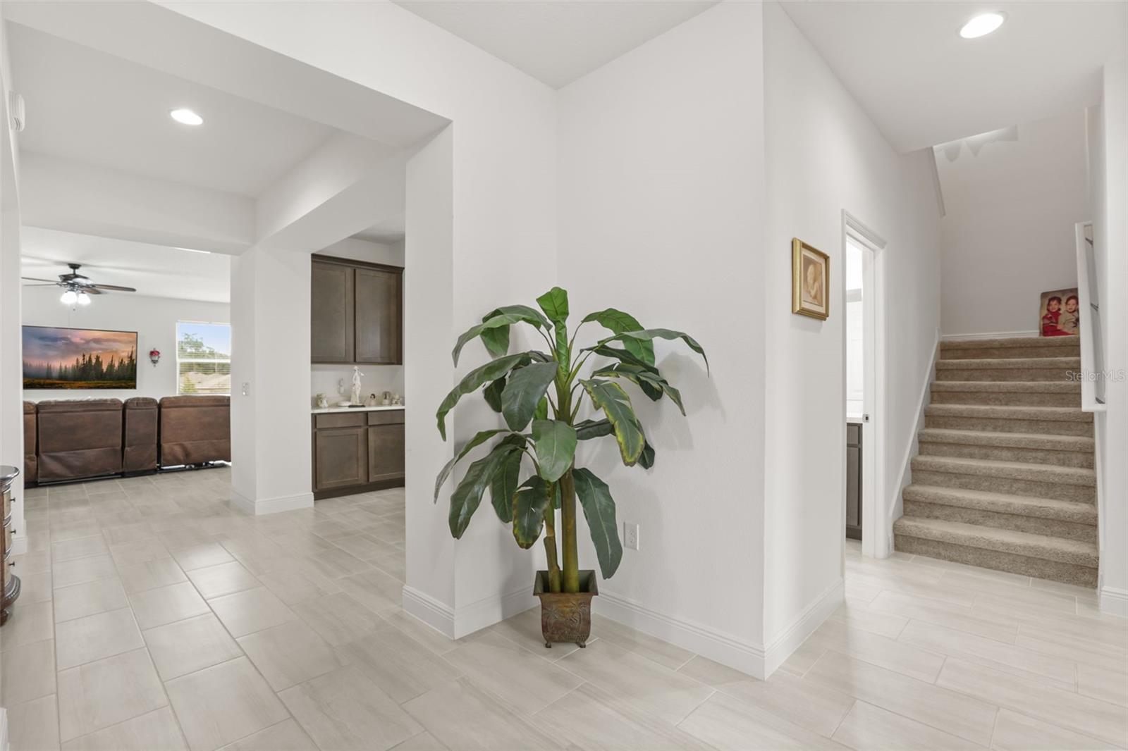 BERESFORD WOODS - Residential