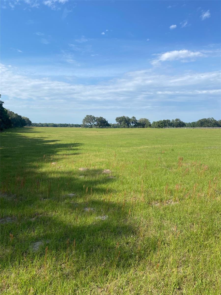 Beautiful 11.29 acre tract in Emerald Ridge, a deed restricted equine subdivision off Hwy 464B.  This tract is improved pasture on a paved private road.  One of only eight tracts in the community.