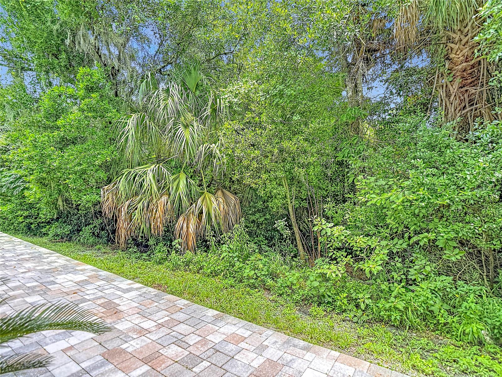 RIVERWALK PRESERVE - Residential