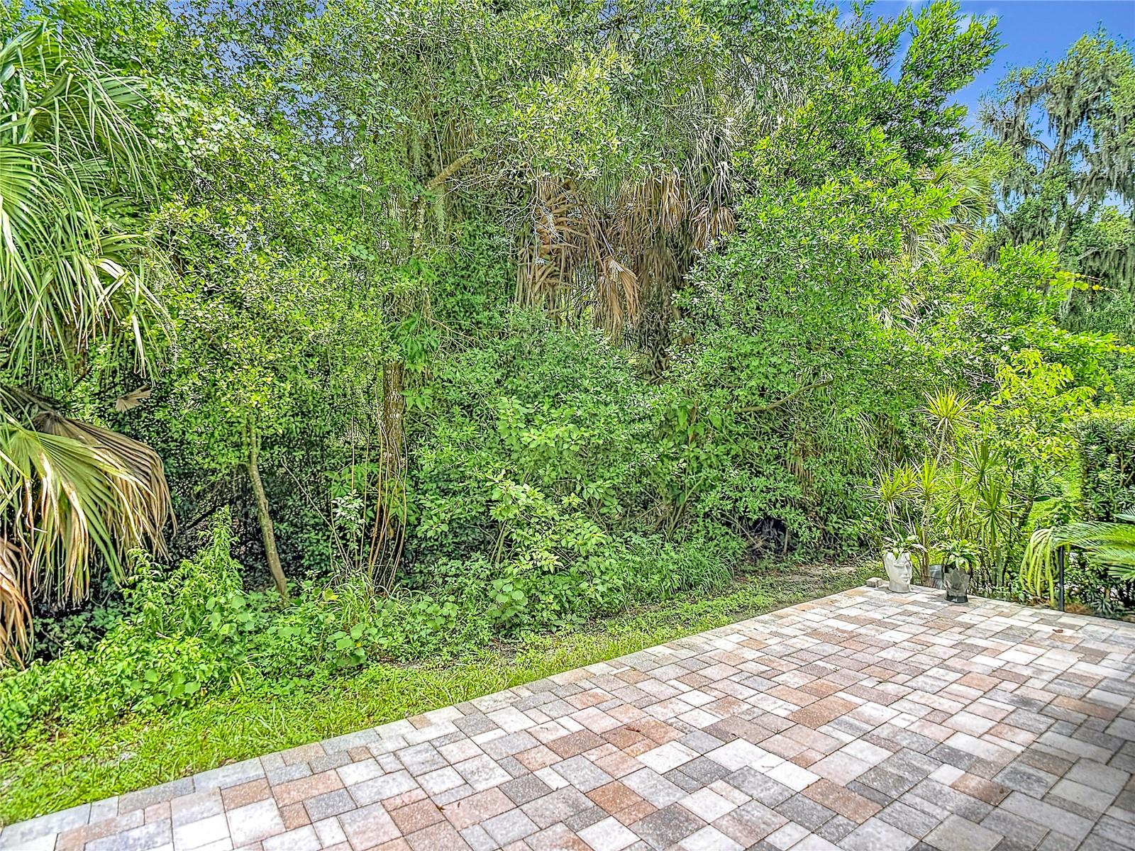 RIVERWALK PRESERVE - Residential