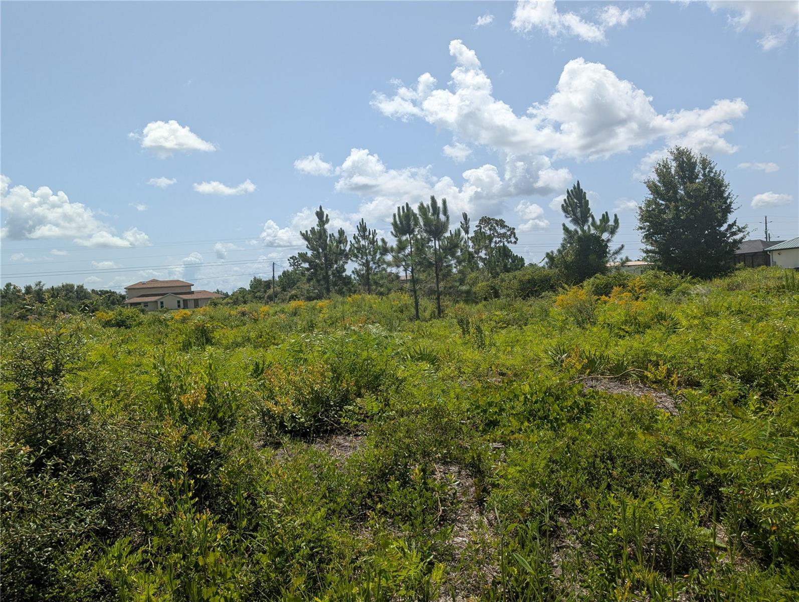 INDIAN LAKE ESTATES - Land