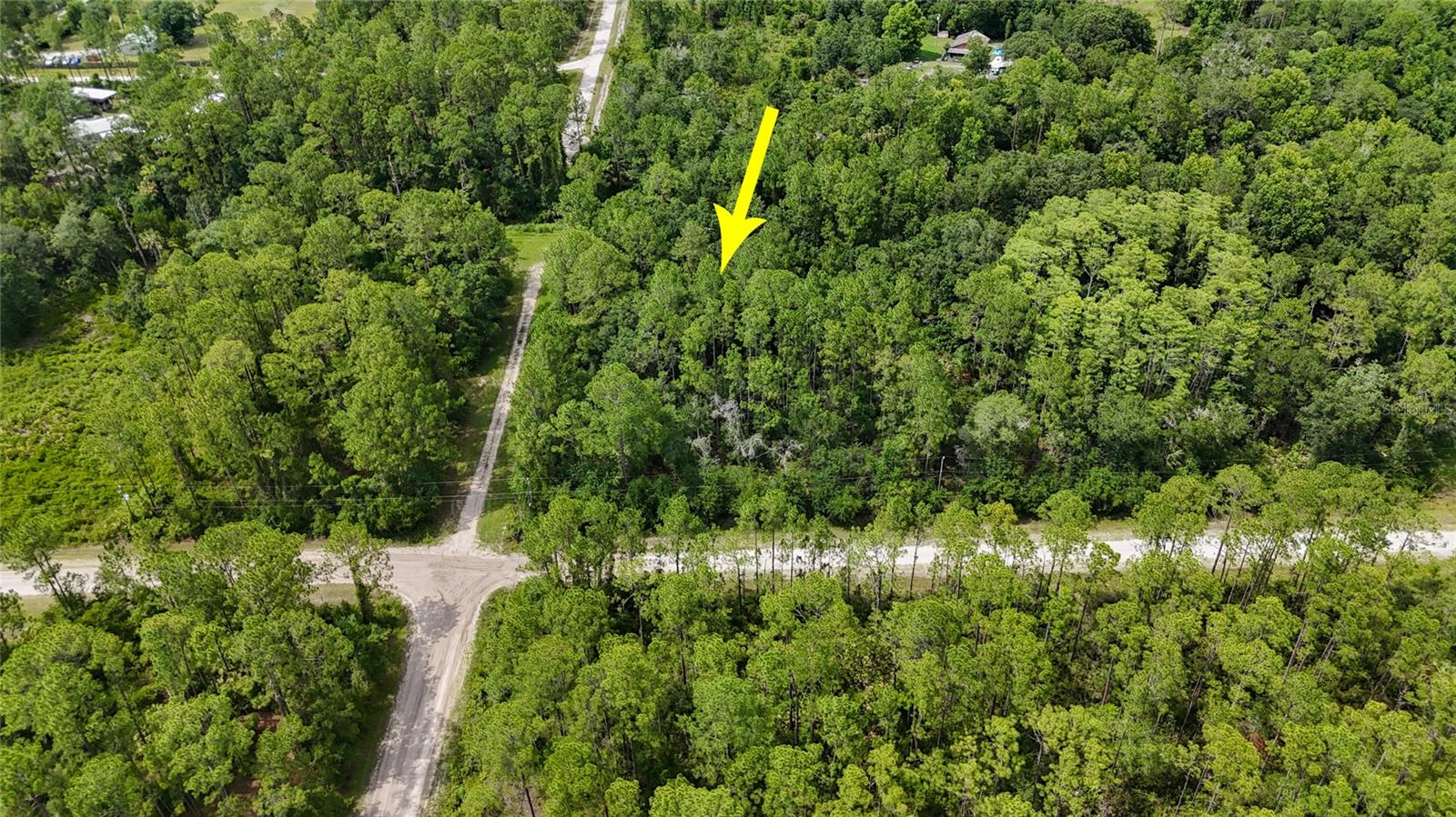 Escape the hustle and enjoy the peace and privacy of country living on this beautiful wooded corner lot in the desirable Daytona North area of Flagler County. Measuring approximately 135' x 295' and totaling just under an acre (.94 acres), this property offers plenty of room to build your dream home, private retreat, or investment property.  Located on a quiet dead-end dirt road with very few neighboring homes, this property provides the secluded setting many buyers are searching for. The wooded landscape offers a natural backdrop and a blank canvas for your future plans, while the easement along the rear of the property creates additional buffer space and enhances the sense of privacy.  Whether you're looking to build now or invest for the future, this spacious corner lot offers the opportunity to enjoy the peaceful, rural lifestyle that makes Daytona North so appealing. All information provided is deemed reliable but not guaranteed. Buyers are encouraged to conduct their own due diligence and verify all information important to their purchase, including zoning, building requirements, utilities, easements, and land use restrictions.