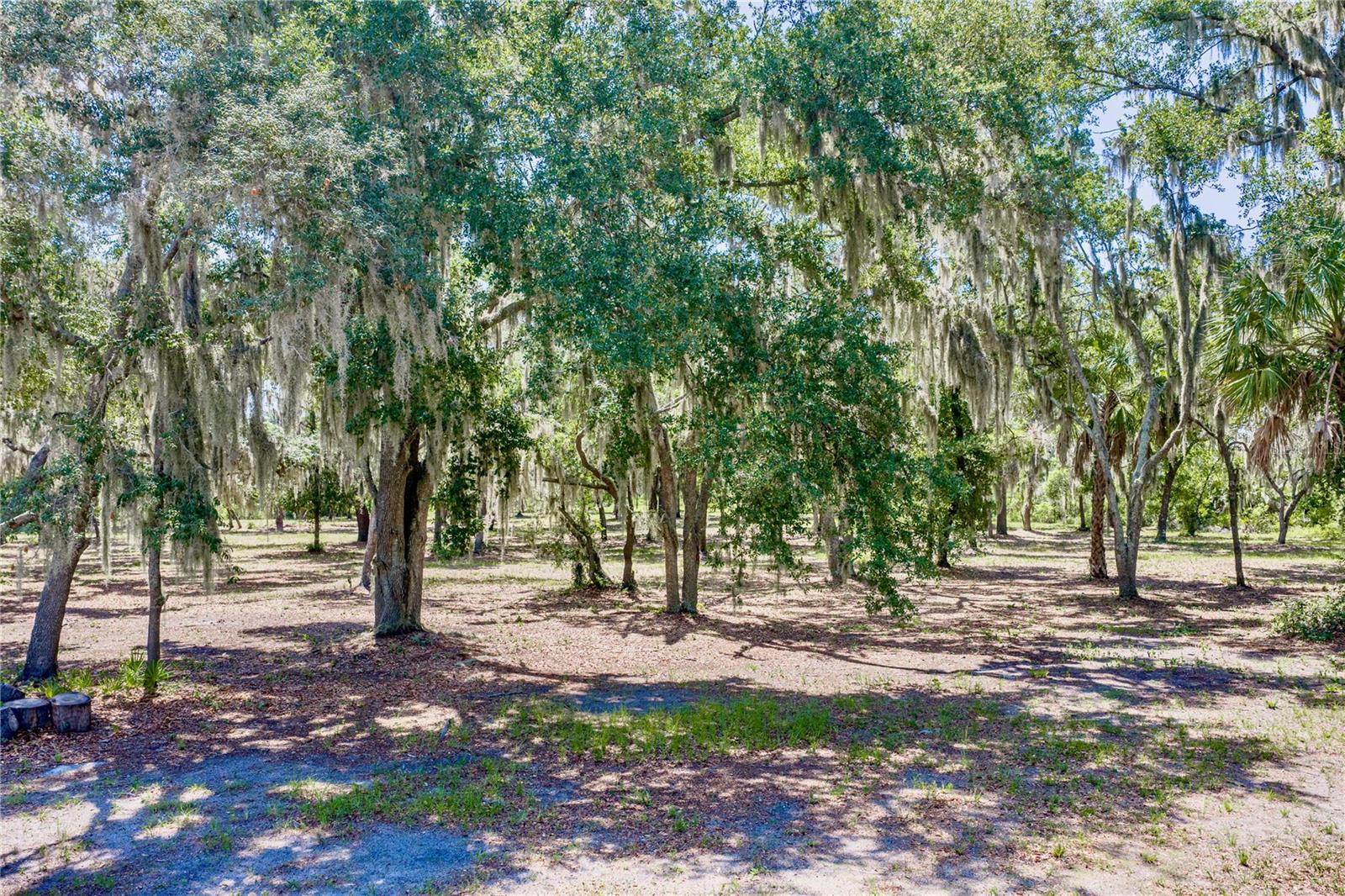 HAMMOCK OAKS RESERVE - Residential
