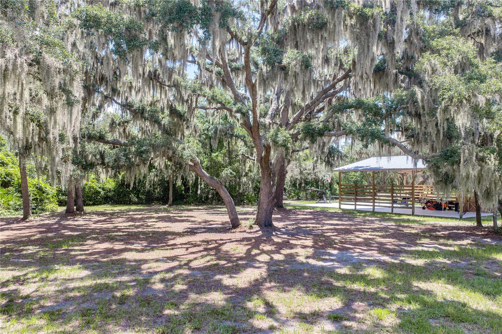 HAMMOCK OAKS RESERVE - Residential