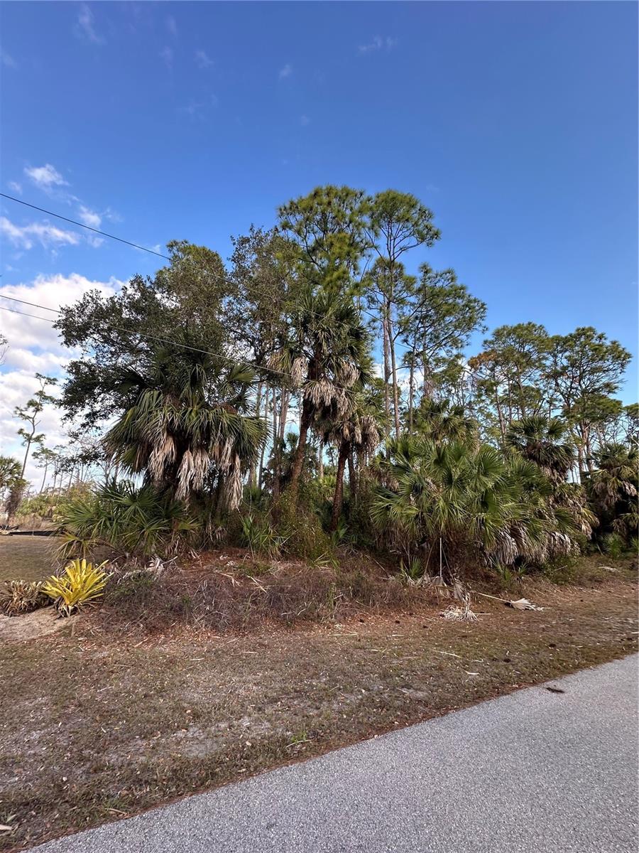 PORT CHARLOTTE SUB 07 - Land