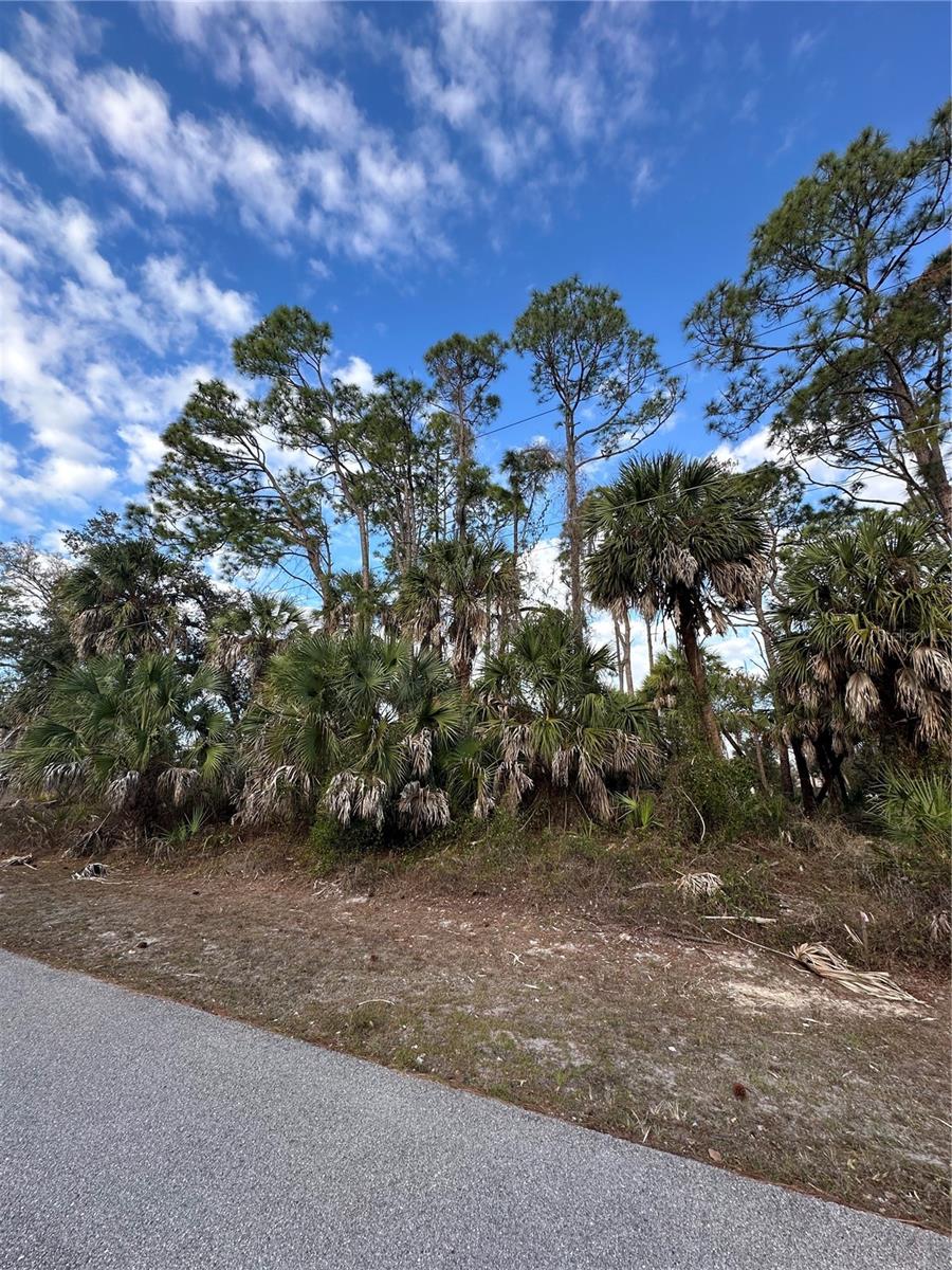 PORT CHARLOTTE SUB 07 - Land
