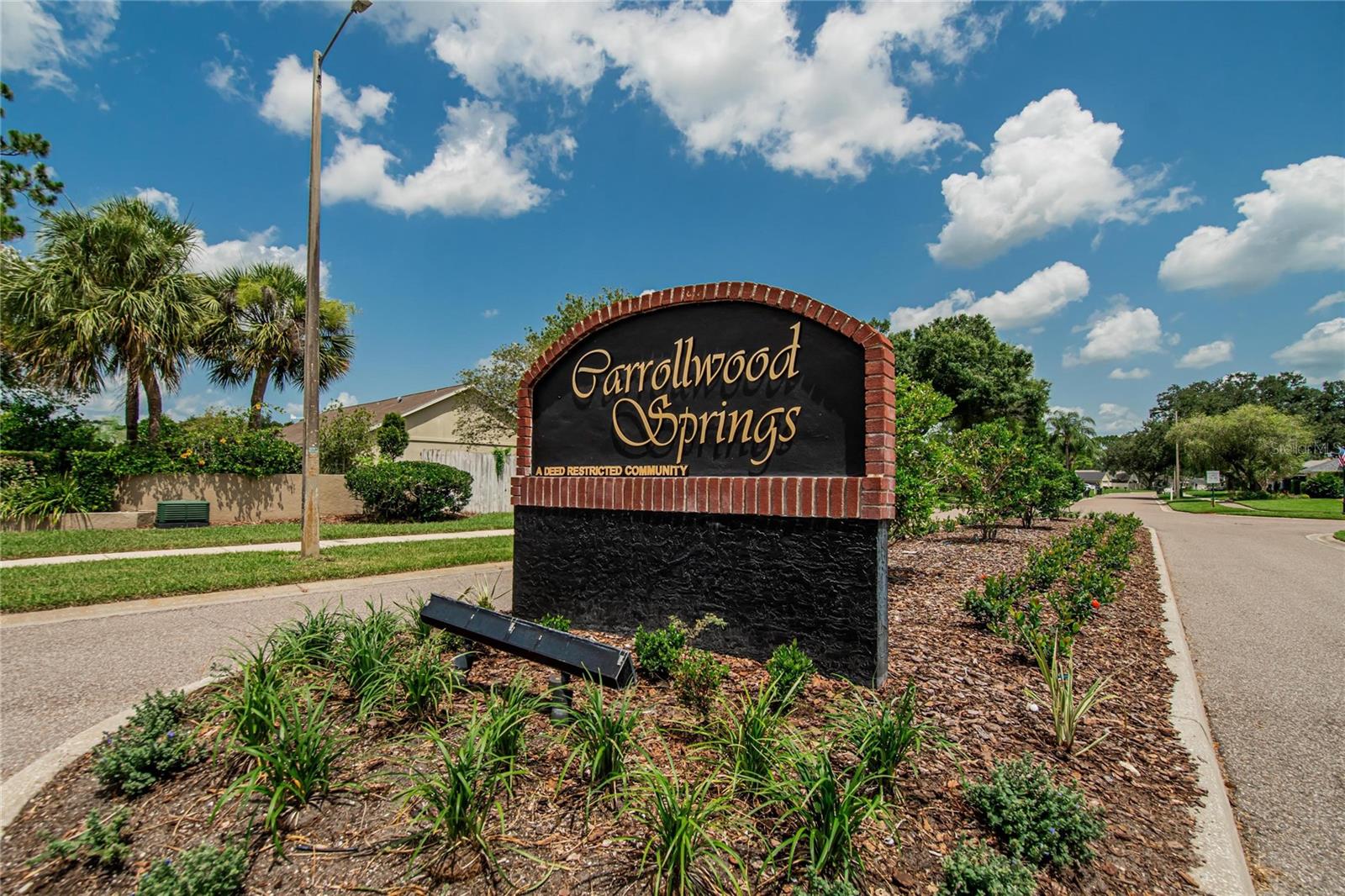 CARROLLWOOD SPRINGS - Residential