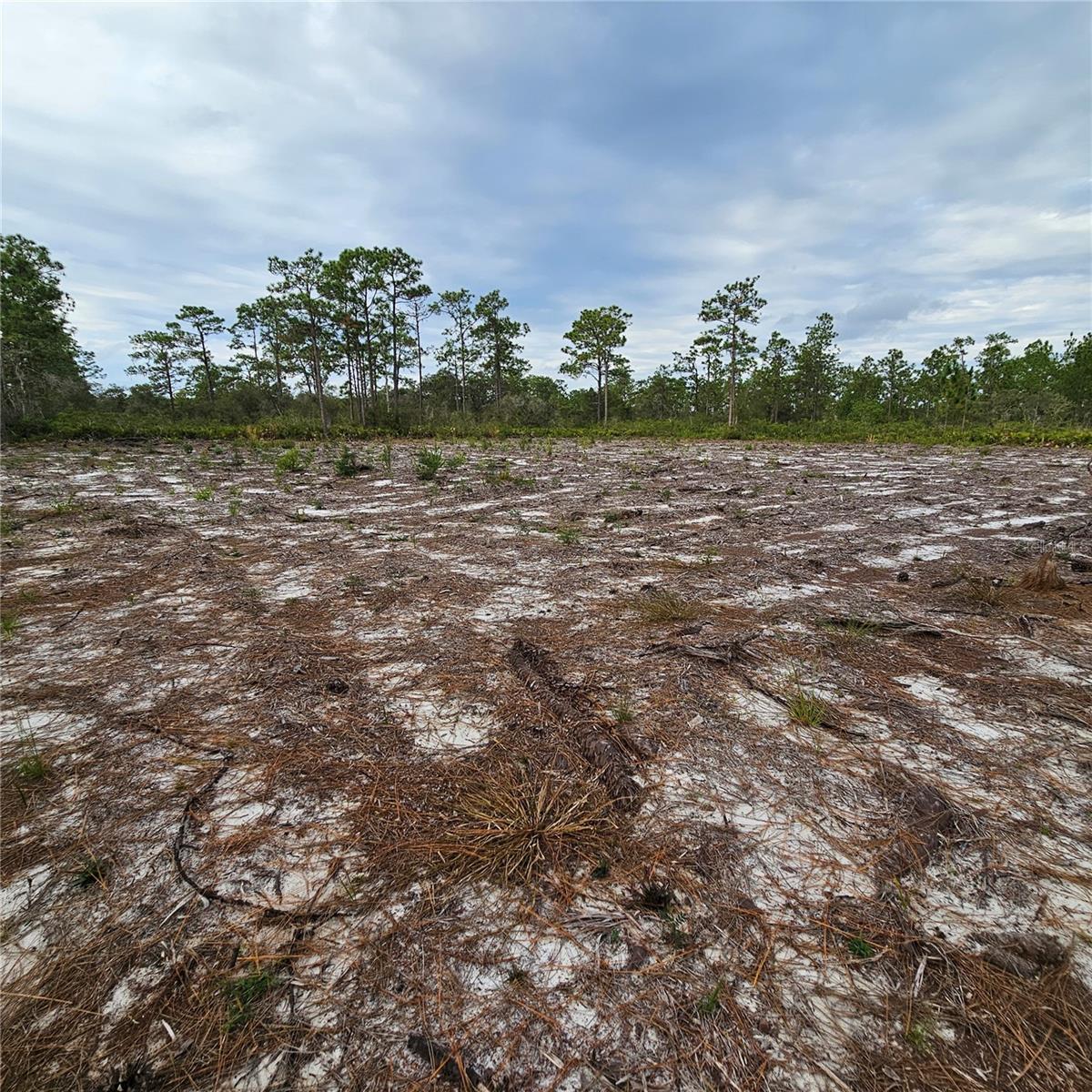 INDIAN LAKE ESTATES - Land