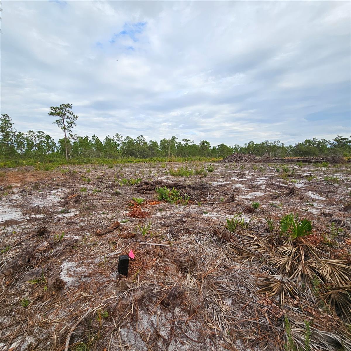 INDIAN LAKE ESTATES - Land