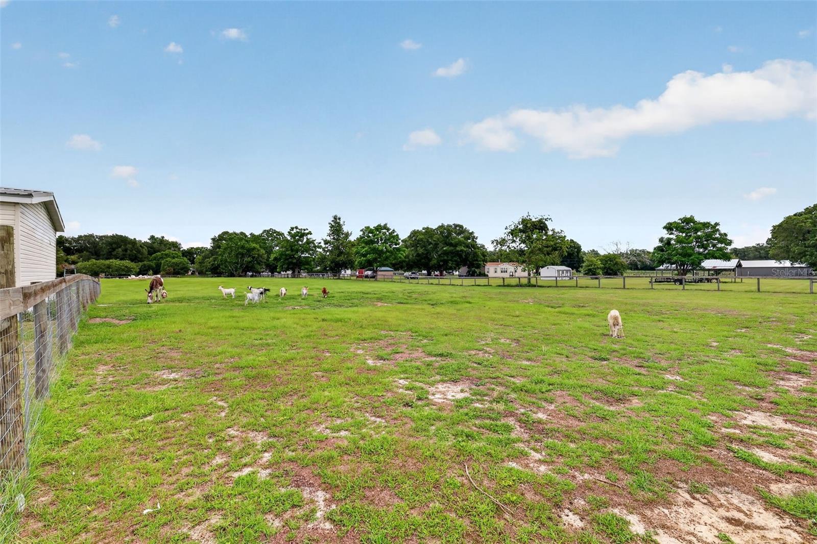 FOXBOROUGH FARMS - Residential