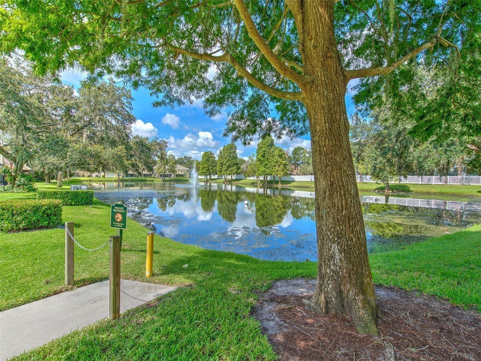 PINE GROVE CONDO AT BLOO - Residential