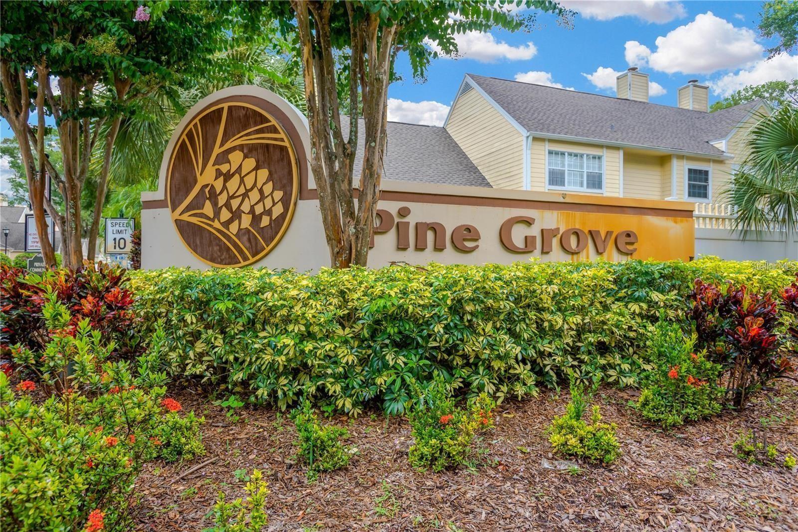 PINE GROVE CONDO AT BLOO - Residential