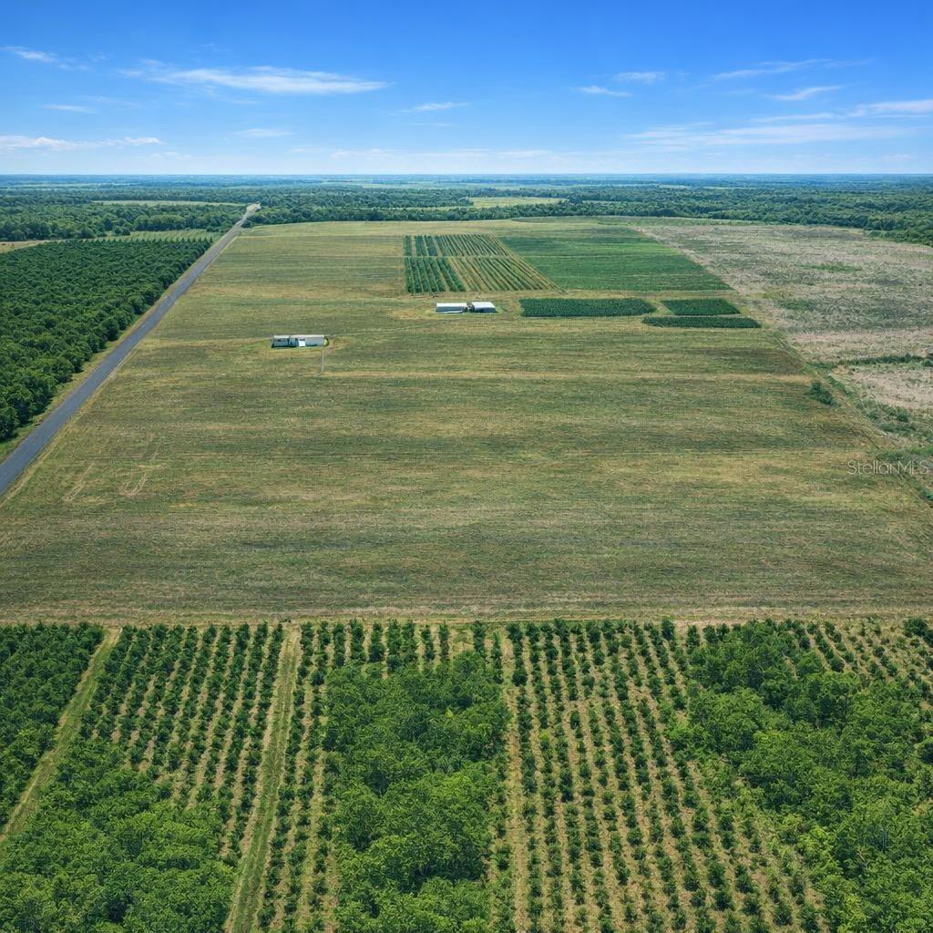 5 acres in Polk County zoned ARR allowing single-family, mobile/manufactured homes, and agricultural use. No HOA. Paved road access on Buffum Church Rd with power at the street. Flat, usable land in a private setting. Well and septic required. Convenient to Fort Meade. Buyer to verify zoning, land use, utilities, and building requirements with Polk County.