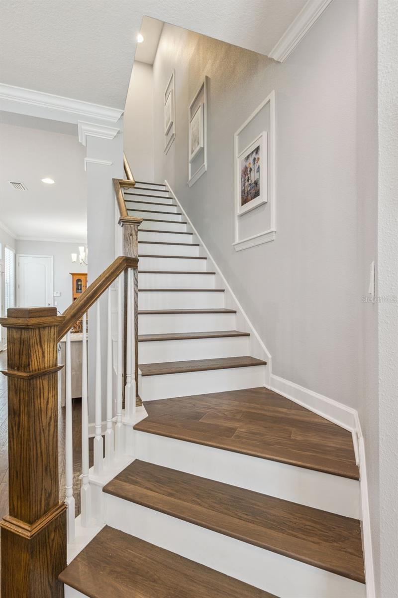 CELEBRATION SOUTH VILLAGE UN 4 REP - Residential