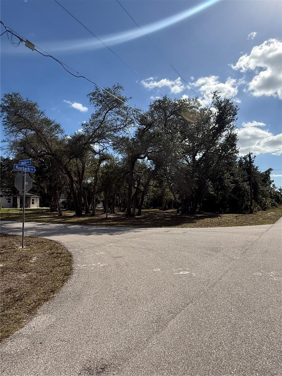 PORT CHARLOTTE SUB 07 - Land