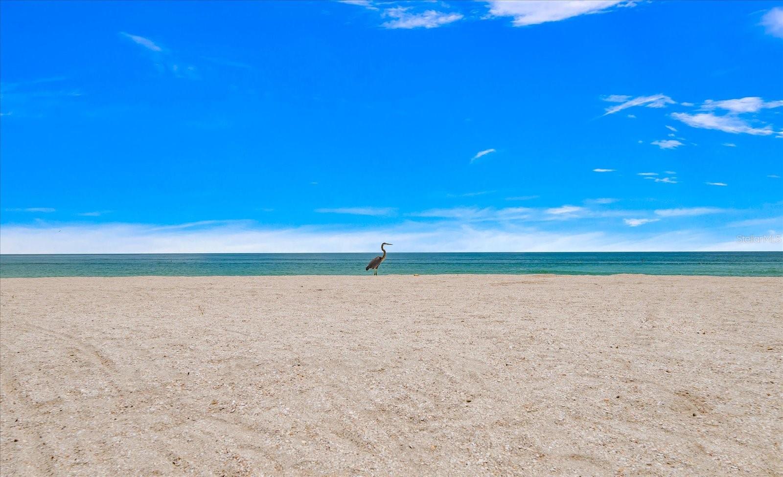 SUNSET BEACH - Land