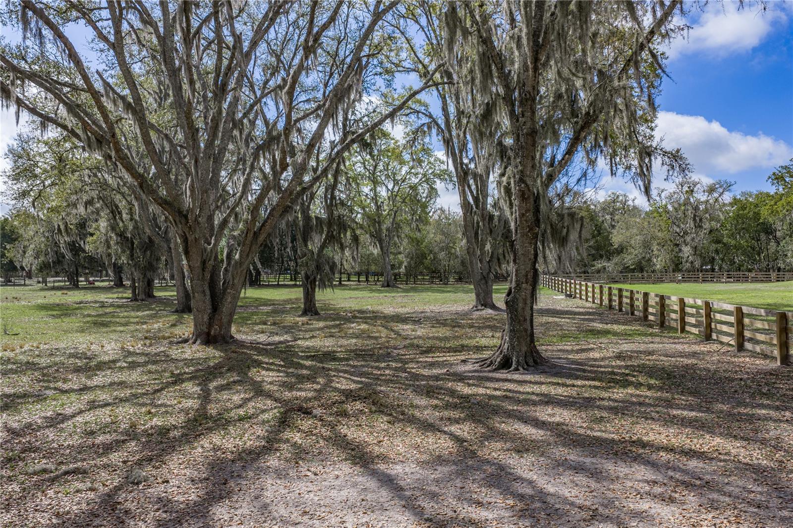 ACREAGE - Residential