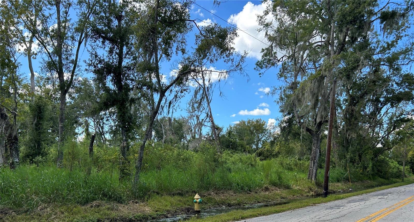 EXCELLENT OPPORTUNITY TO ACQUIRE A GREAT CORNER LOT in the heart of Plant City! Zoned R-1 with frontage on Seminole Lake Blvd and Hickman Ave this parcel offers excellent access and visibility. Available utilities, and residential zoning, this lot is ideal for those seeking privacy without being far from the city, located in a well-established neighborhood with no HOA. Convenient Plant City location near I-4 and SR-60—perfect spot to build your dream home! Investor’s opportunity! Well-located ideal for building a custom single-family home or holding as a long-term investment No HOA and strong demand in the Plant City market make this parcel a solid addition to any portfolio.The property can be subdivided into two buildable lots (per zoning/regulations).Build your forever home on this charming corner lot in Seminole Lake Estates! With 0.28 acres, mature trees, and easy access to schools, shopping, and highways, this parcel is perfect for a growing family, giving you the freedom to design the lifestyle you want .Don't miss the opportunity to make it yours! Go see this property anytime – no appointment necessary!