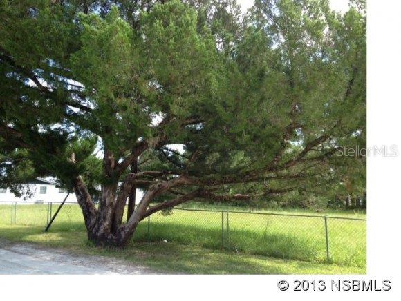 Oversize lot that has room to build your dream house plus have room to store all your toys. Chose your options on this Edgewater property...Build your home BY combining both properties to make an over size lot  of 150 x 125 OR have an opportunity to do a lot split to make TWO 75 x 125 buildable lots. Price includes parcel #743206002620.Owner will consider offers or  trade of equal value.