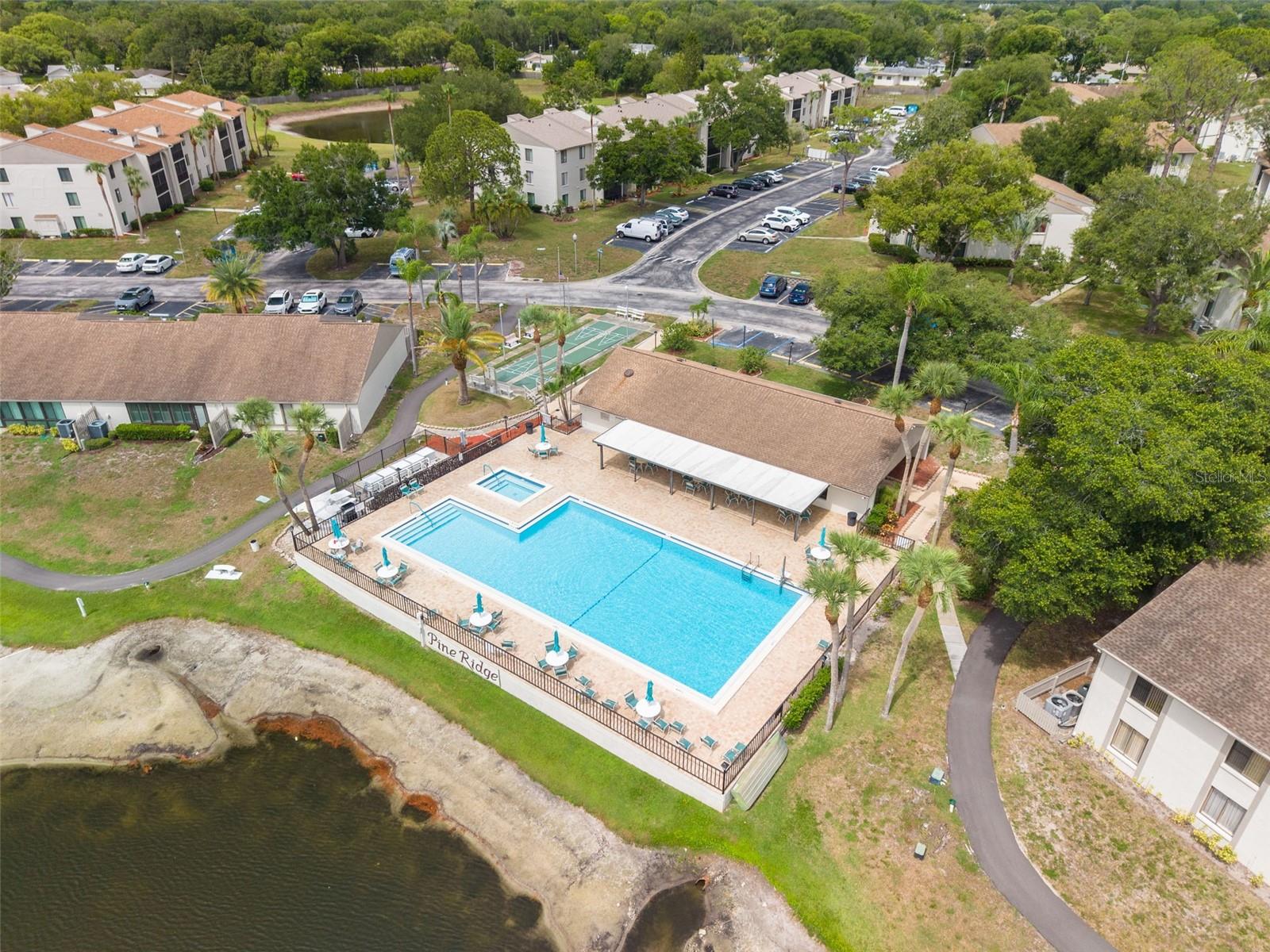 PINE RIDGE AT PALM HARBOR - Residential
