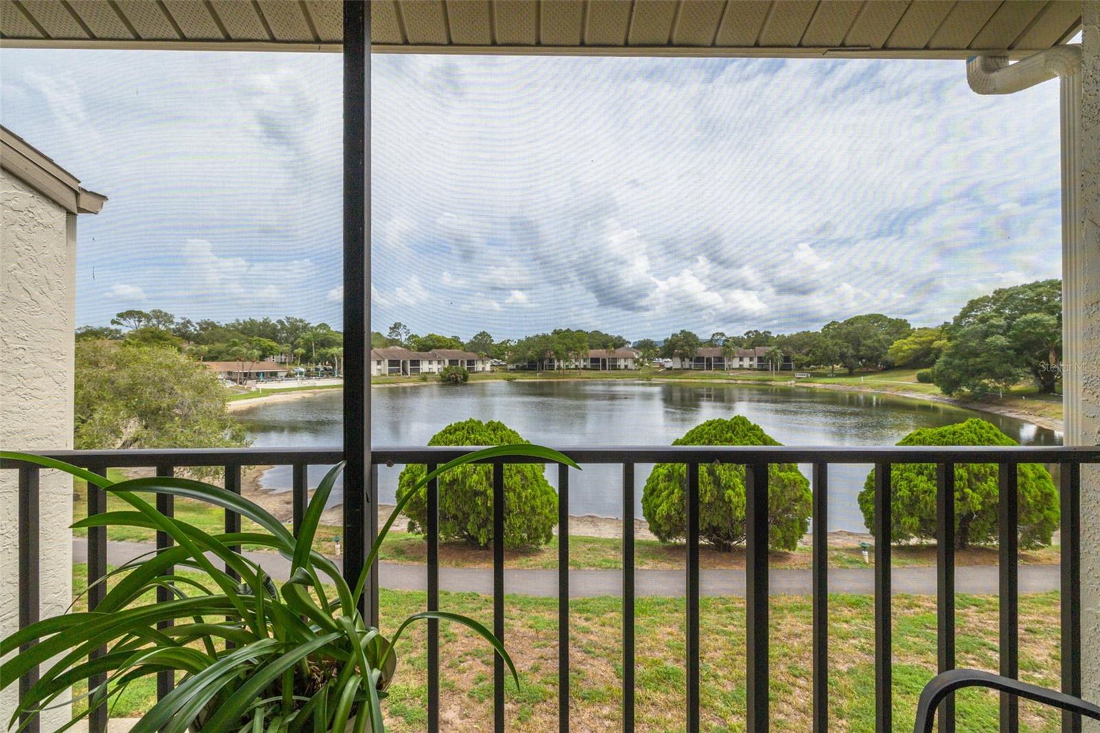 PINE RIDGE AT PALM HARBOR - Residential