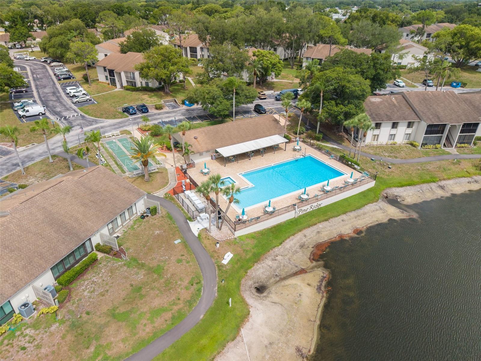 PINE RIDGE AT PALM HARBOR - Residential