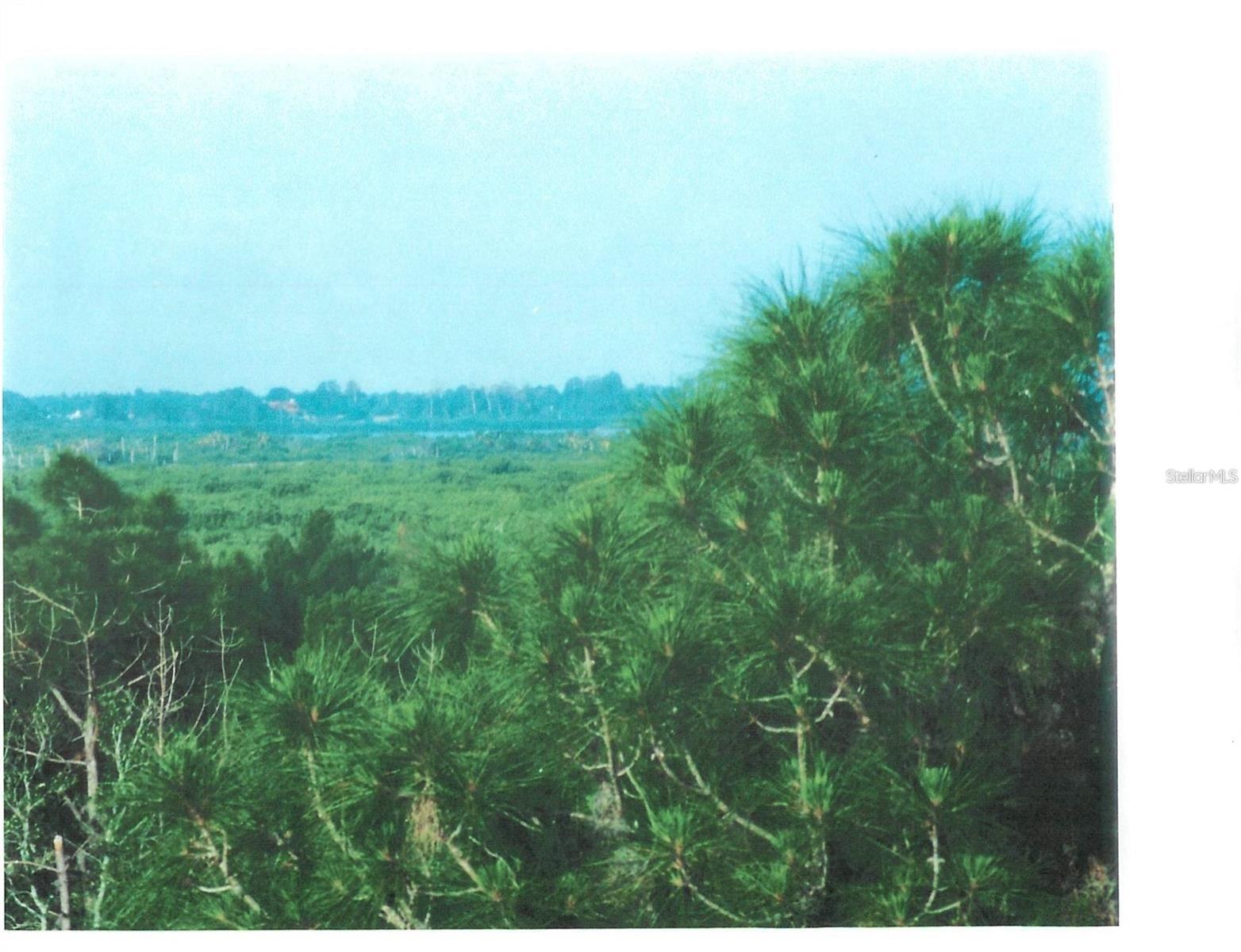 TAMPA TARPON SPGS LAND CO - Land