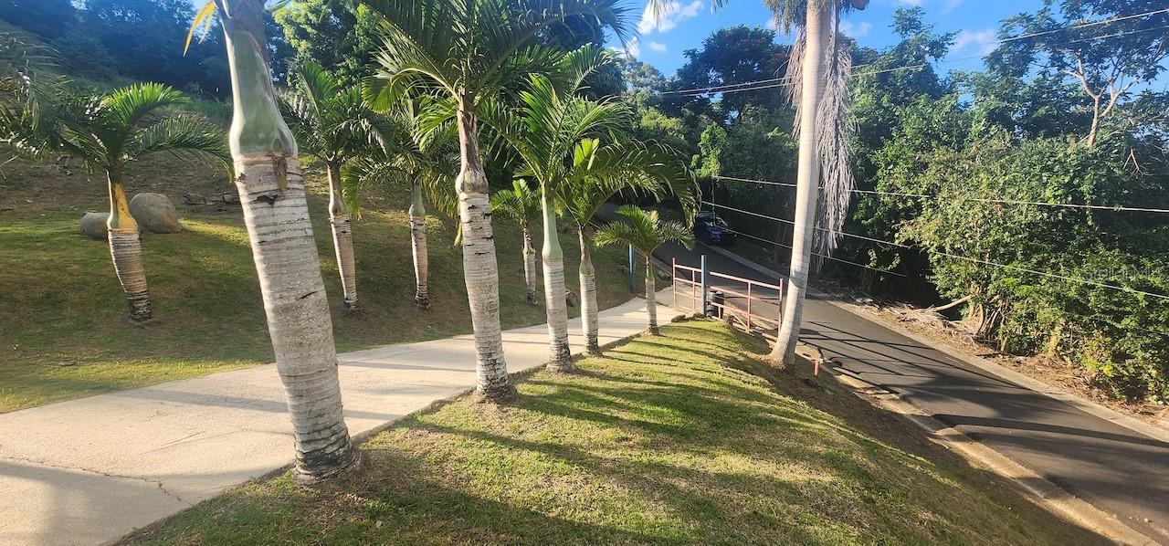 CEDROS WARD - Residential