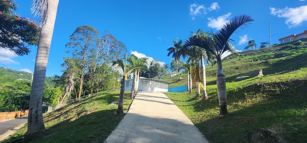 CEDROS WARD - Residential