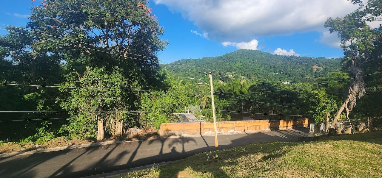 CEDROS WARD - Residential