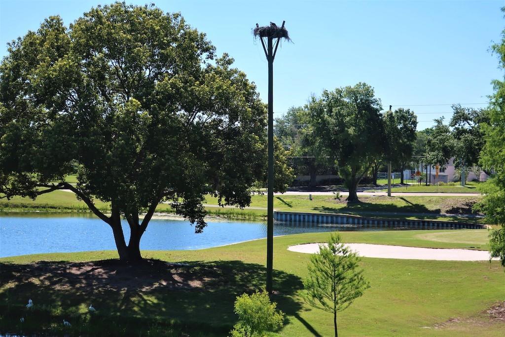 HIGHLAND LAKES VILLAS ON THE GREEN - Residential