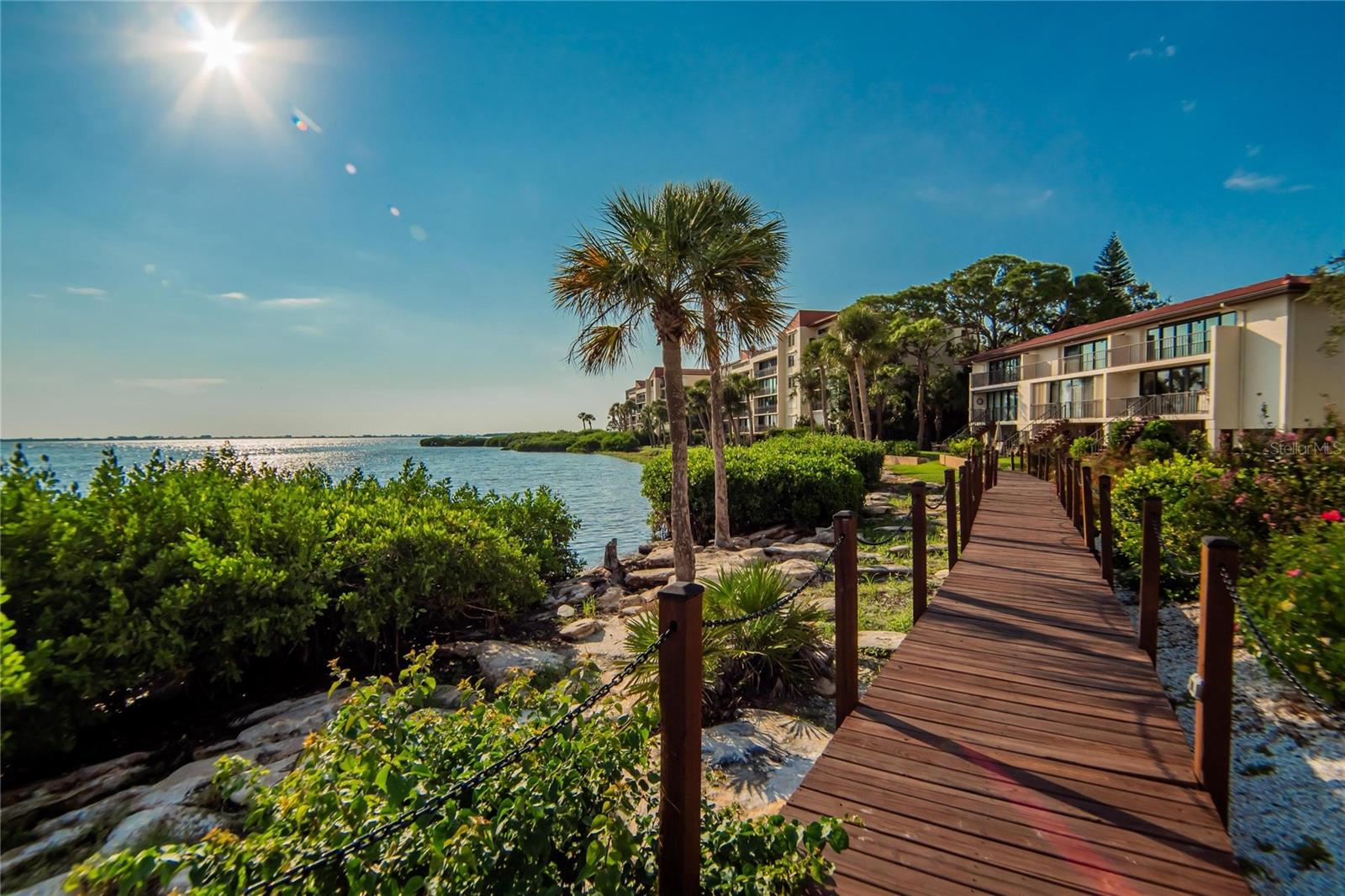 THE TERRACES AT WILD OAK BAY IV - Residential