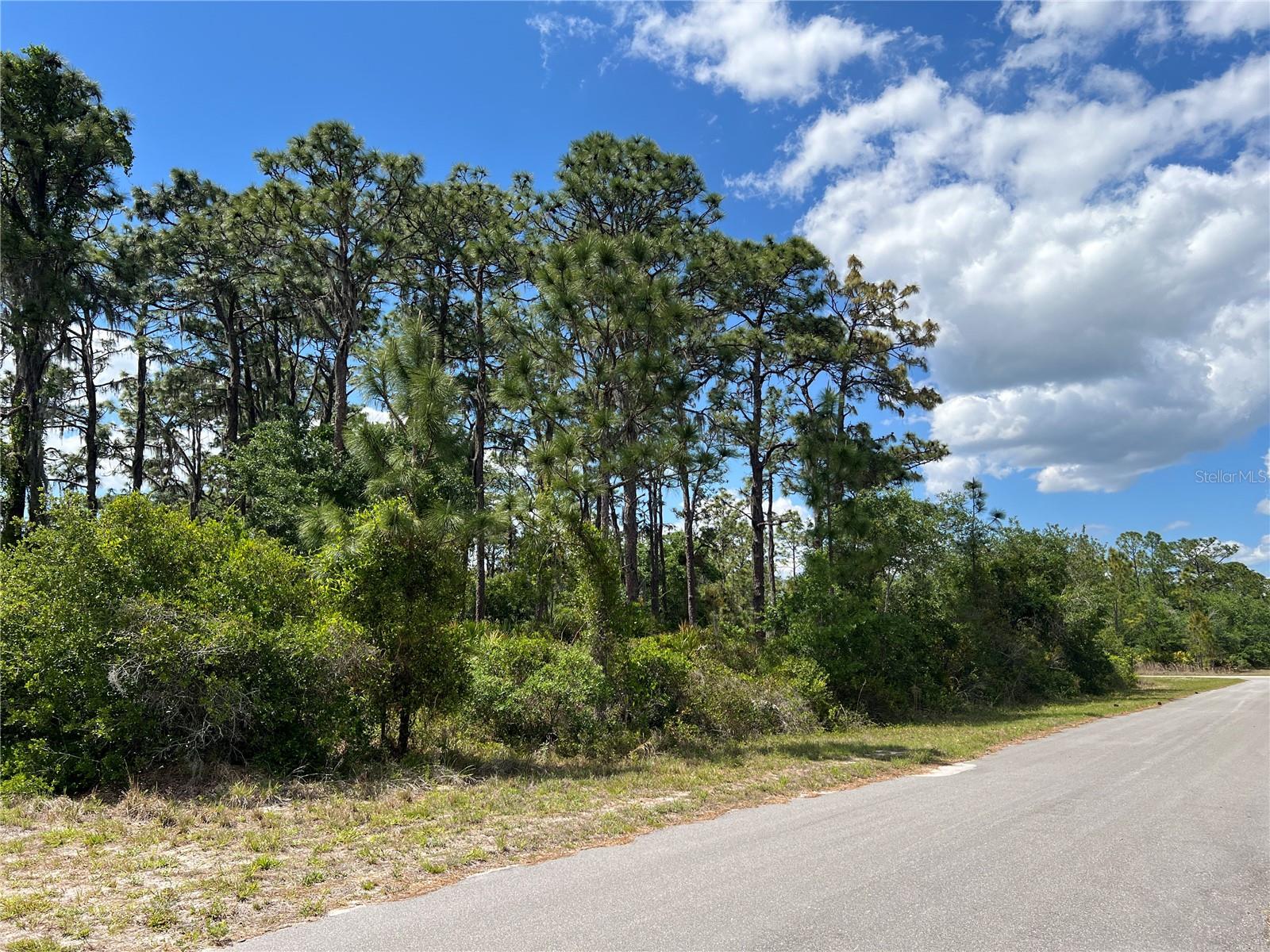 INDIAN LAKE ESTATES - Land