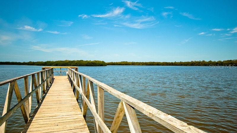 EDGEWATER COVE AT PERICO 1 - Residential