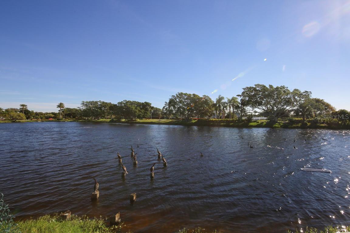 EDGEWATER COVE AT PERICO 1 - Residential