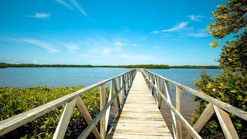EDGEWATER COVE AT PERICO 1 - Residential