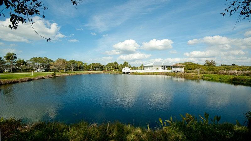 EDGEWATER COVE AT PERICO 1 - Residential