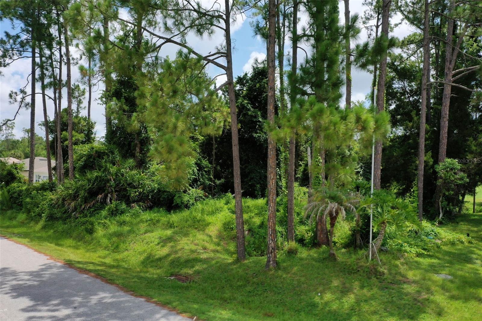 PALM COAST/EASTHAMPTON SEC 34 - Land