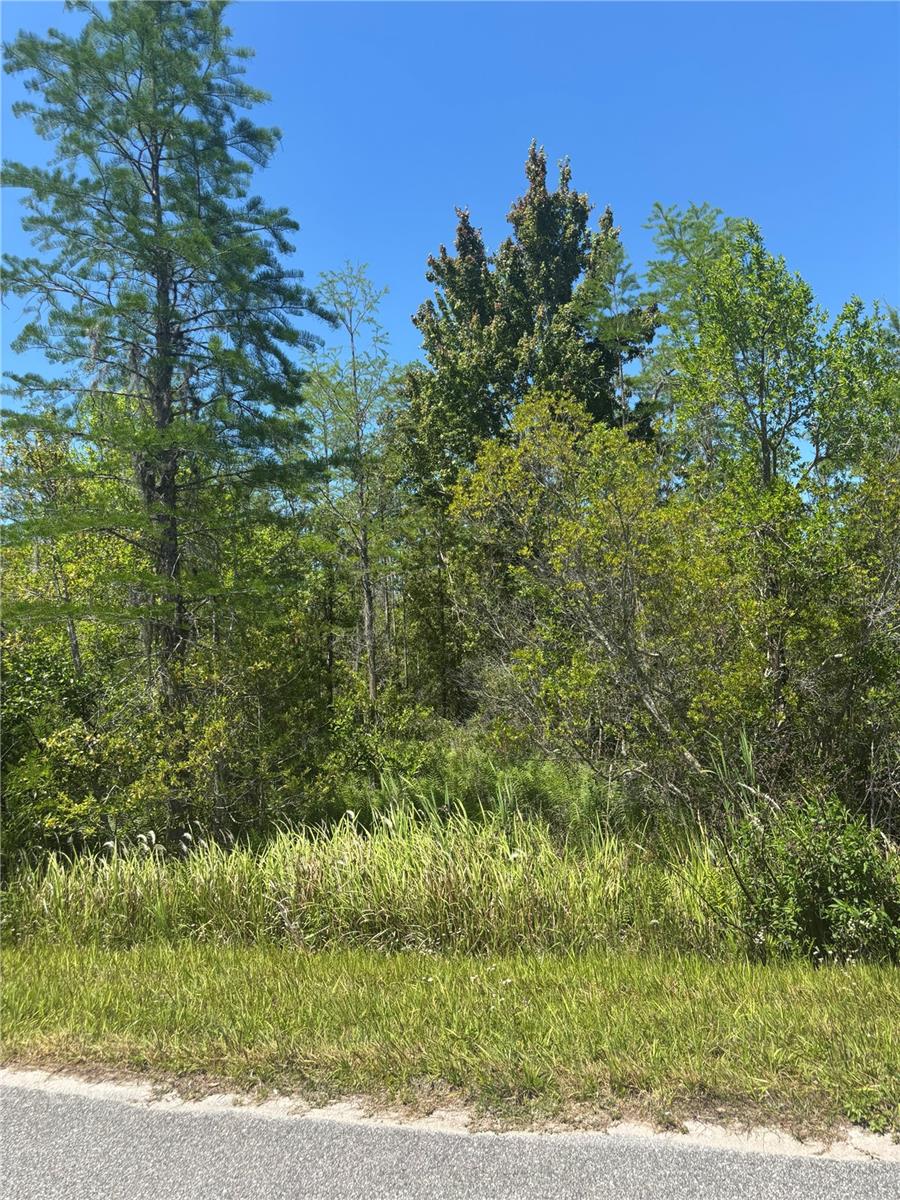CANAVERAL ACRES 2 - Land