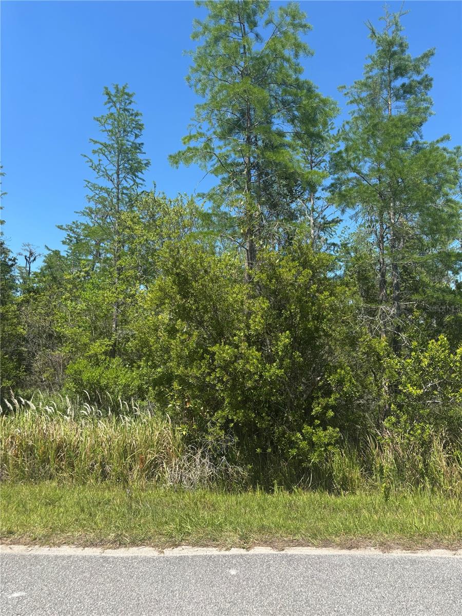 CANAVERAL ACRES 2 - Land