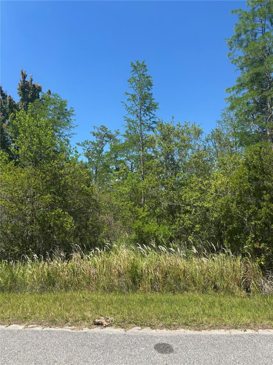 CANAVERAL ACRES 2 - Land