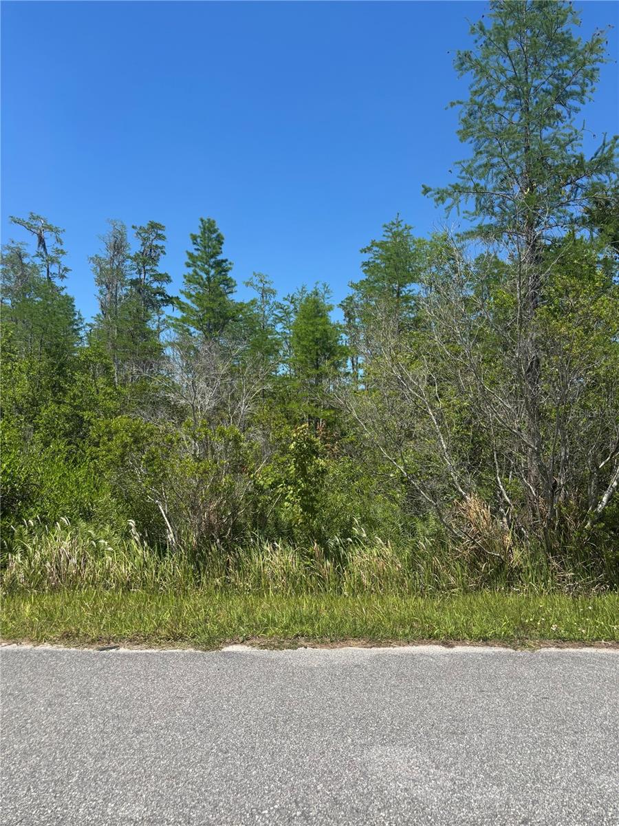 CANAVERAL ACRES 2 - Land