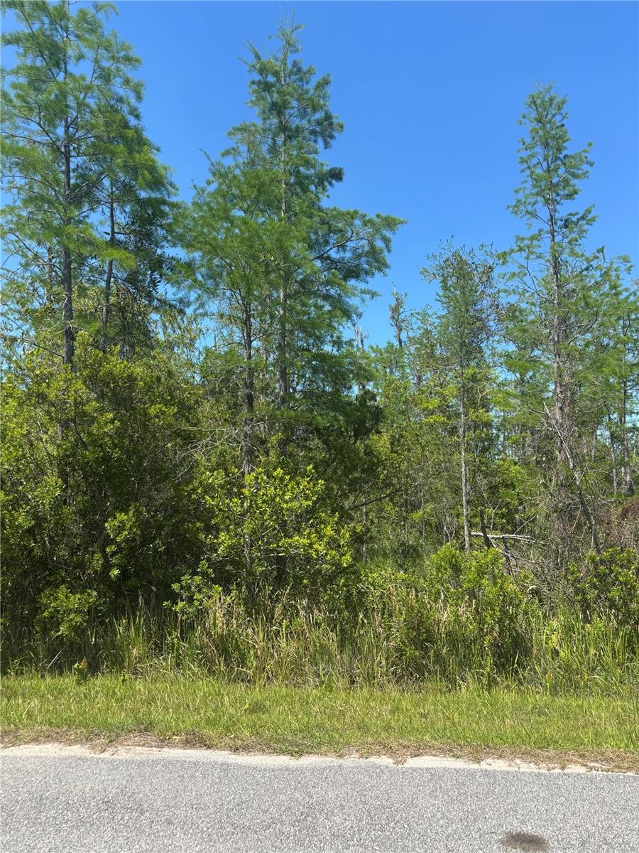 CANAVERAL ACRES 2 - Land