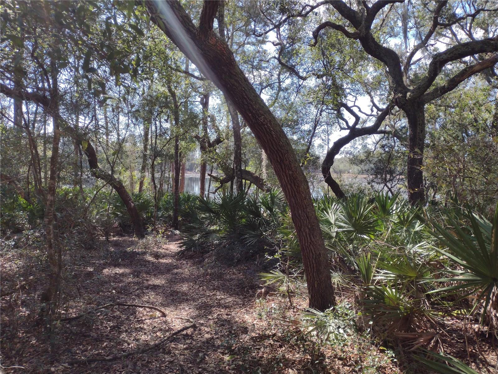 This beautiful waterfront lot with pines and palms winding down to picturesque view of the lake makes a great homesite location and boasts nearly 2 acres! No CDD fees and no HOA. No buildings other than single family residences and no more than one single family residence to occupy any one lot. There are already beautiful homes in this community and you and yours could fit right in. But there's more! The adjoining lot is also for sale. Maybe you would like to keep your family close checkout the lot next door! Between the two over 3 acres!!