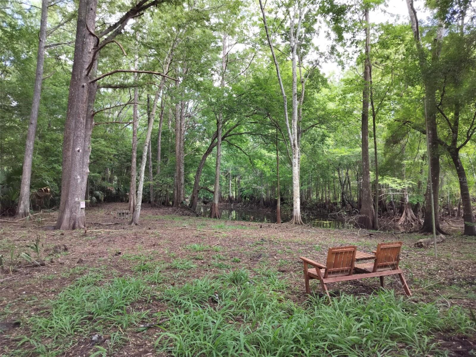 With Approx 300 feet of shoreline along a freshwater canal just moments from the Withlacoochee River, this property offers a rare blend of privacy, natural beauty, and convenience. Discover the perfect canvas for your dream home on this serene 0.87-acre waterfront lot in the peaceful Sherwood Forest community of Inverness. 

Previously home to a manufactured residence, the lot is cleared, level, and buildable, with essential infrastructure already in place:

Septic tank and well on site
Utility pole for easy electric hookup
Concrete slab for RV Parking or tiny home
Survey and Subsurface Soil Exploration Report available to Buyer

Enjoy the quiet of a dead-end paved road and no HOA restrictions. The lot’s irregular shape (approx. 160' x 333') provides flexibility for custom home placement, outdoor living spaces, or even a seasonal getaway cabin.

Whether you're planning a full-time residence or a peaceful seasonal escape, this property offers a rare opportunity to build in a quiet, nature-rich setting just minutes from shopping, dining, and recreation.

Come enjoy all Inverness has to offer. Bike, Jog or Walk the Withlacoochee State Trail, Liberty Park, The Depot, Restaurants, Shops, Courthouse Square, Boating, Fishing, The Tsala Apopka Chain of Lakes, Churches, Parades, Valerie Theatre Culture Center, and City Festivals.

Prime Location:
Downtown Inverness – 2.5 miles
Citrus Memorial Hospital – 2.7 miles
Whispering Pines Park – 3.2 miles
Shopping – 3.5 miles
Withlacoochee State Trail access – 2.2 miles
Tampa VA Hospital - 1hr 12 min 
Gainesville VA Hospital -1hr 6 min
Tampa Airport -1hr 18 min
Orlando Airport 1hr 6min
World Equestrian Center - 51 min