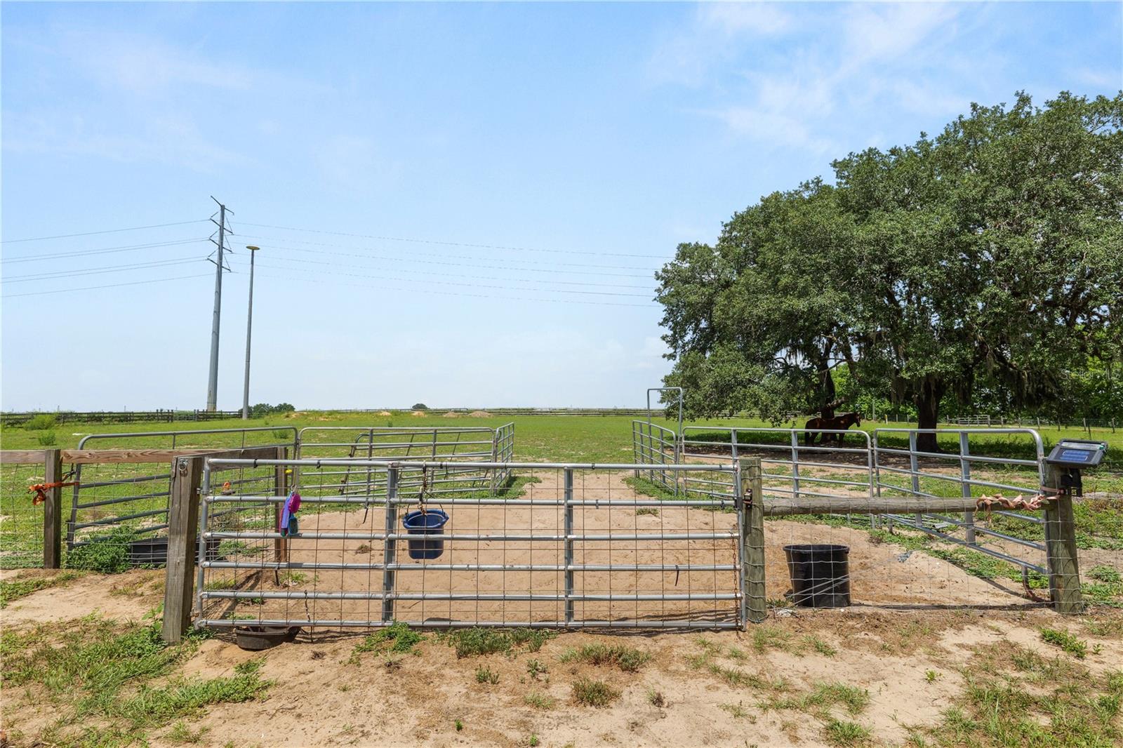 NOT IN SUBDIVISION - Residential