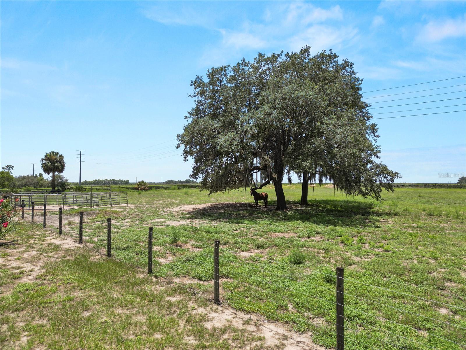 NOT IN SUBDIVISION - Residential