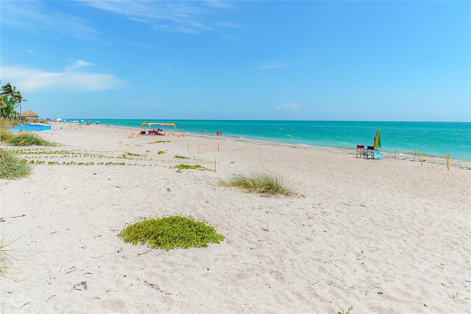 SURF CLUB ON GULF - Residential