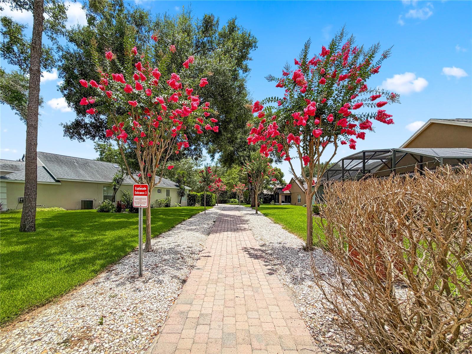 LAKE GRIFFIN ESTATES - Residential